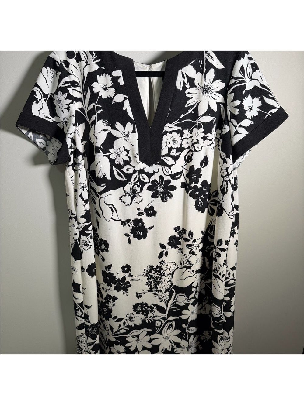 Adrianna Papell Black and White Shift Dress V Neck